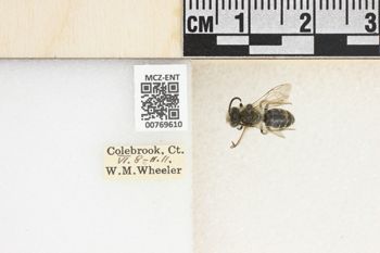 Media type: image;   Entomology 769610 Aspect: Labels